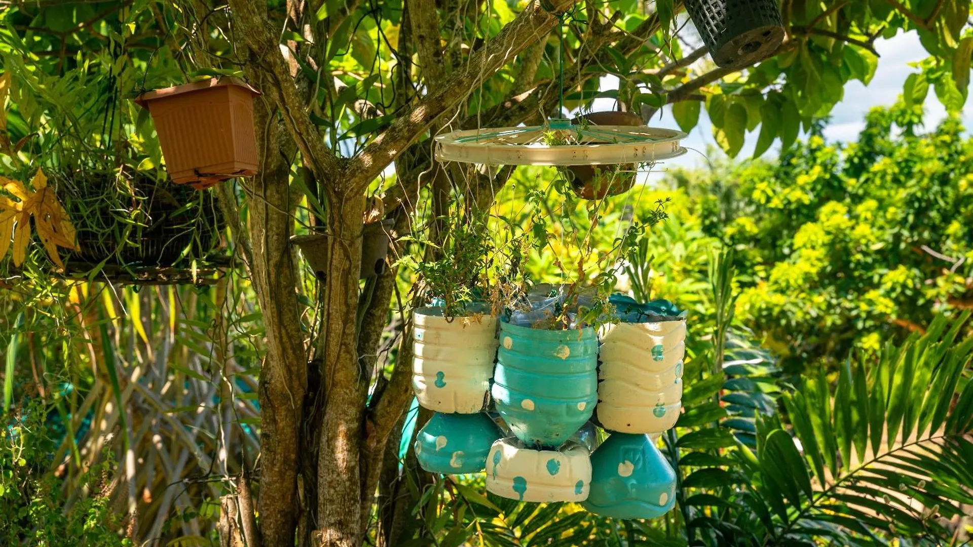 Lemongrass Lodge Beau Vallon