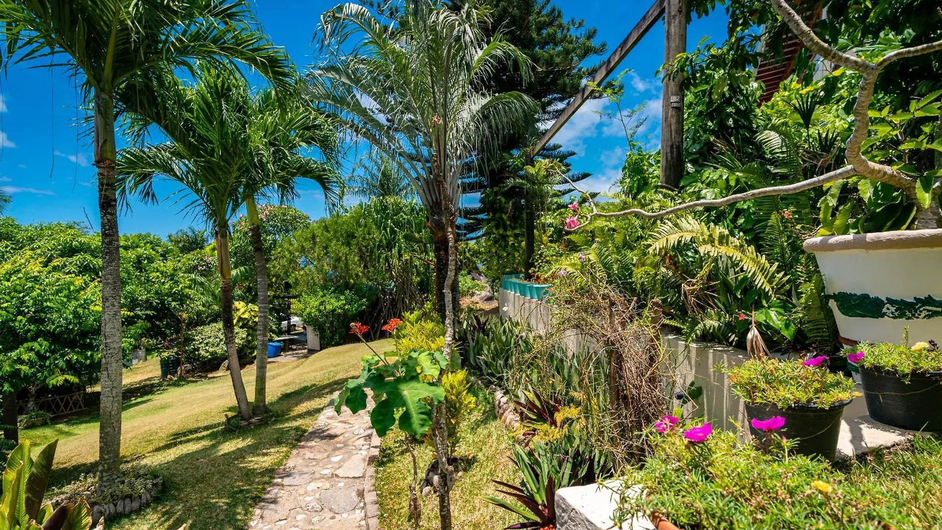 Lemongrass Lodge Beau Vallon   Beau Vallon (Mahe)