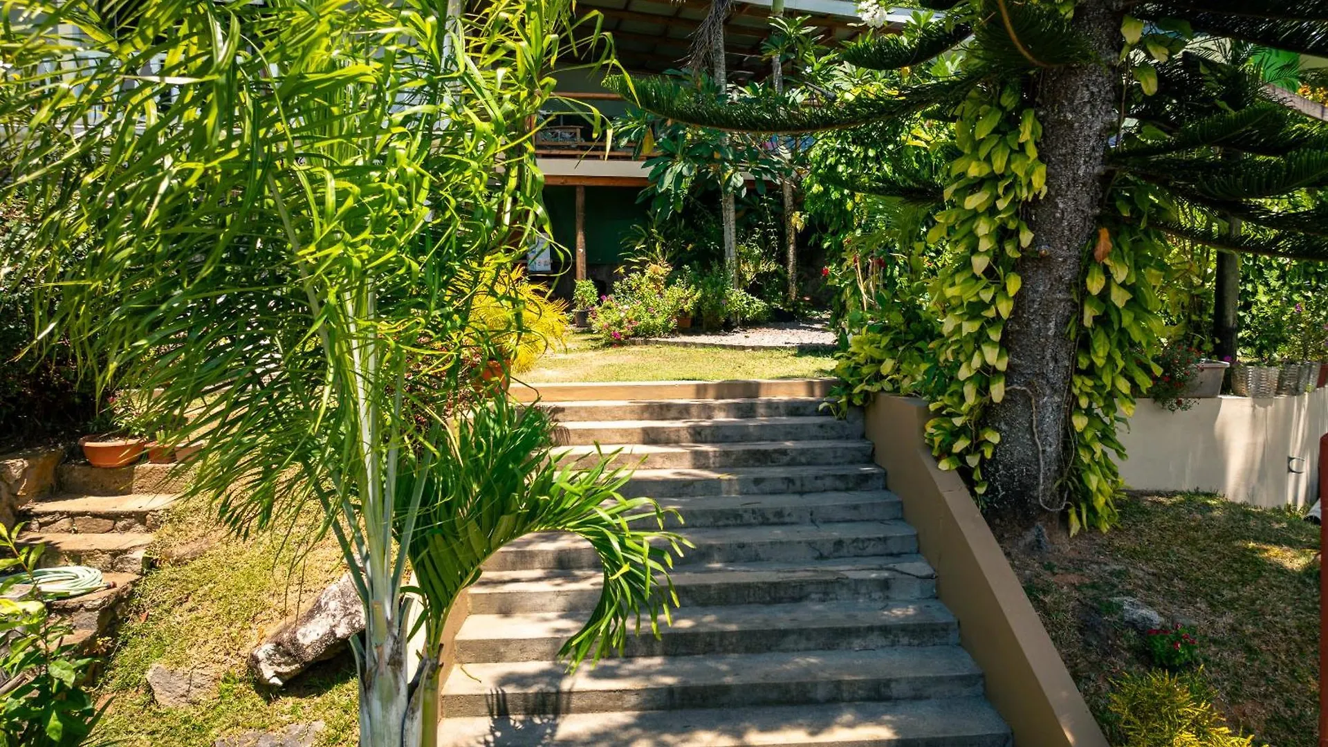 Lemongrass Lodge Beau Vallon  Seychellen