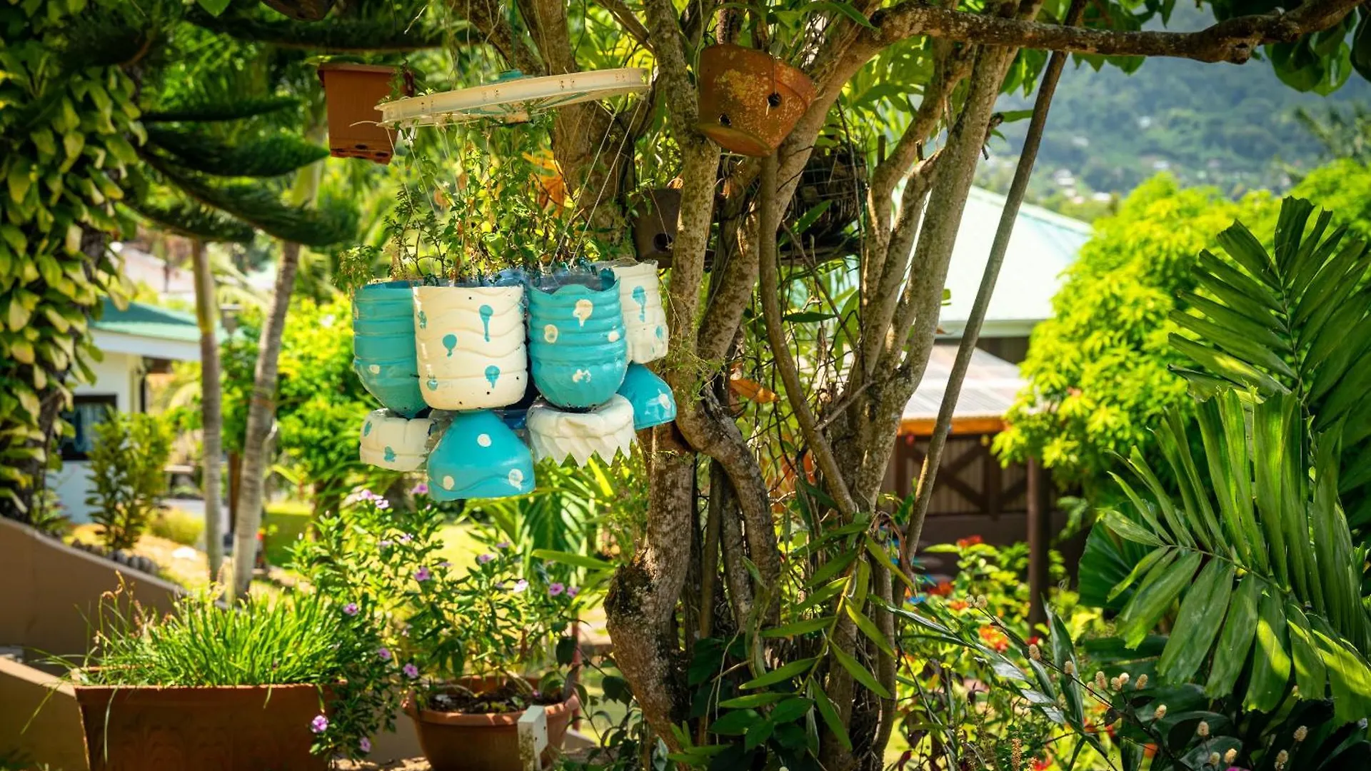 Lemongrass Lodge Beau Vallon