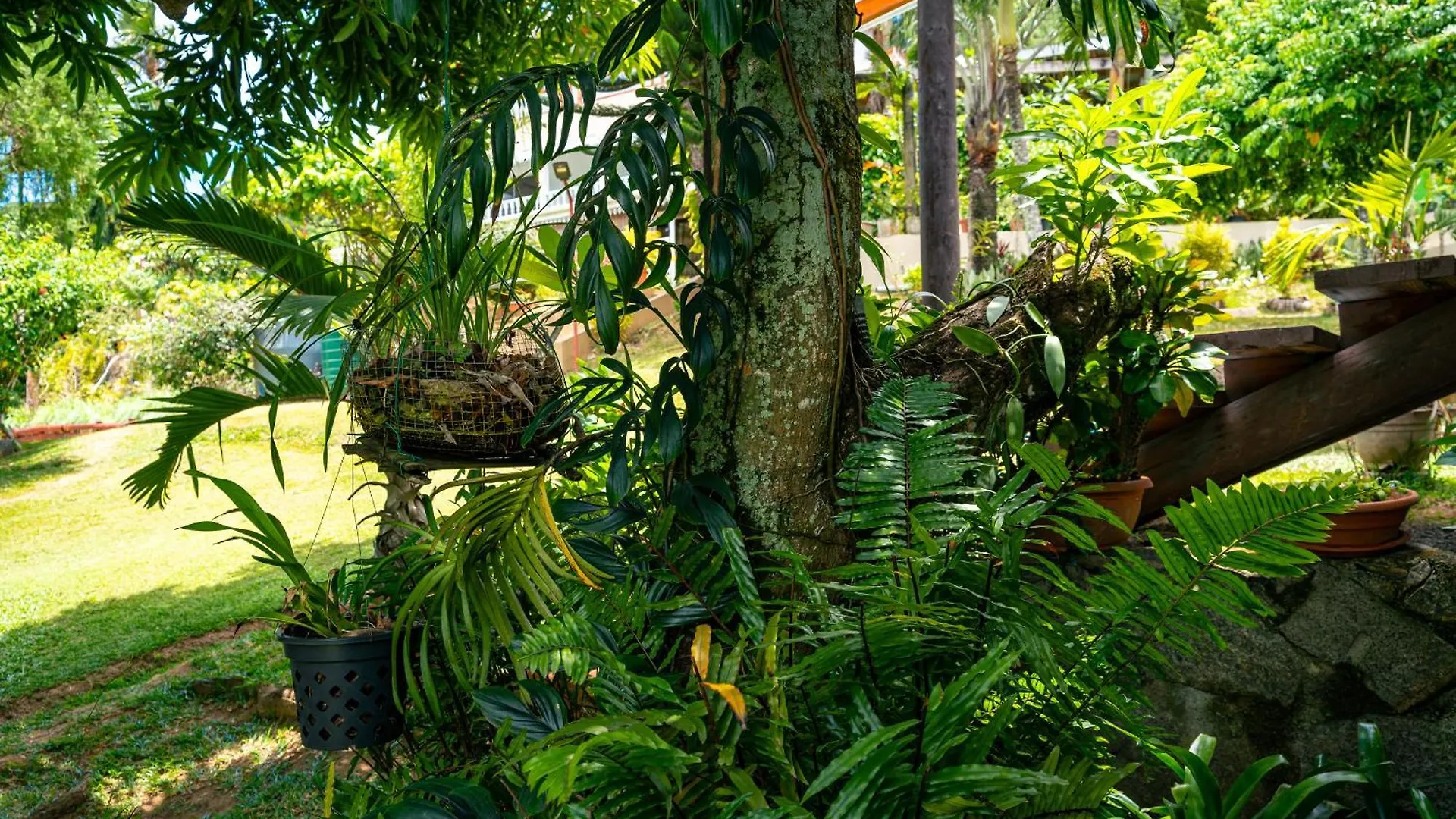 Lemongrass Lodge Beau Vallon